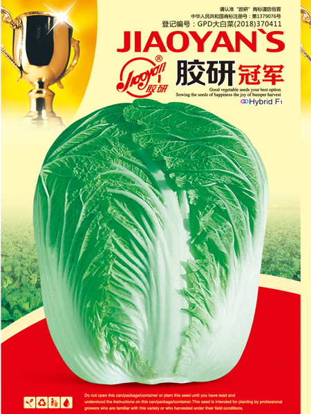  Jiaoyan Guanjun——Autumn-sowing Cabbage